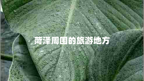 菏澤周?chē)穆糜蔚胤? title=