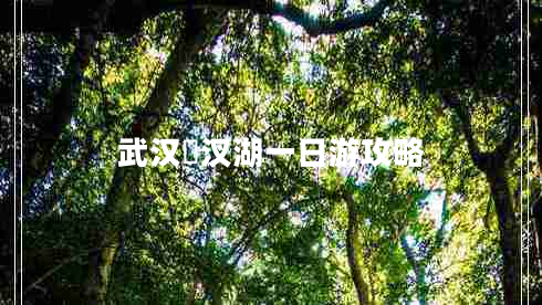 武漢汈汊湖一日游攻略