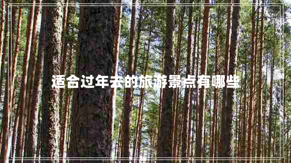 適合過(guò)年去的旅游景點(diǎn)有哪些