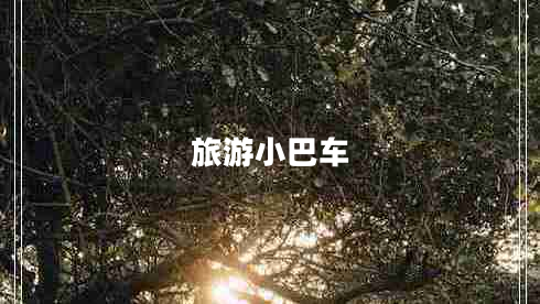 旅游小巴車(chē)