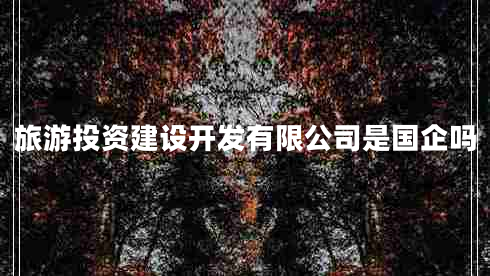 旅游投資建設開(kāi)發(fā)有限公司是國企嗎