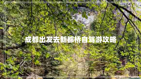成都出發(fā)去新都橋自駕游攻略