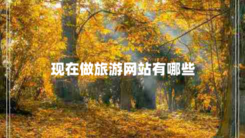 現在做旅游網(wǎng)站有哪些