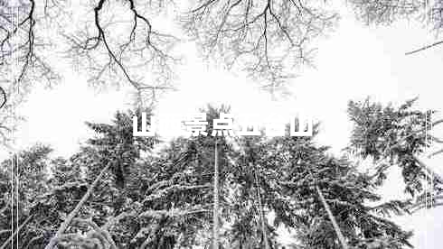 山西景點(diǎn)五臺山
