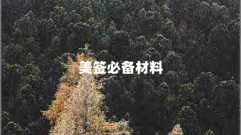 美簽必備材料