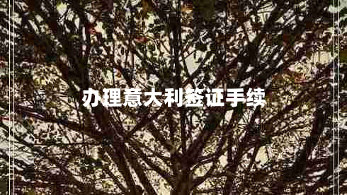 辦理意大利簽證手續