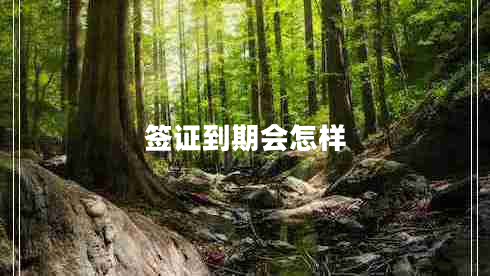 簽證到期會(huì )怎樣
