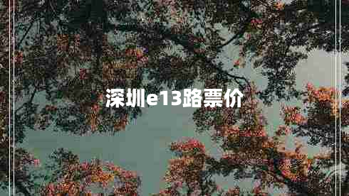 深圳e13路票價(jià)