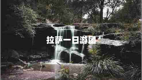 拉薩一日游團