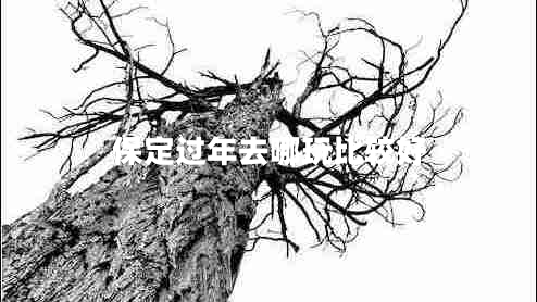 保定過(guò)年去哪玩比較好