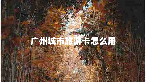 廣州城市旅游卡怎么用