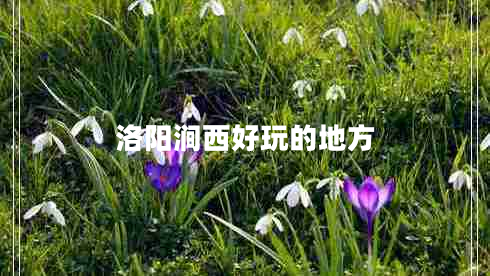 洛陽(yáng)澗西好玩的地方