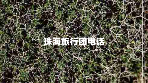 珠海旅行團電話