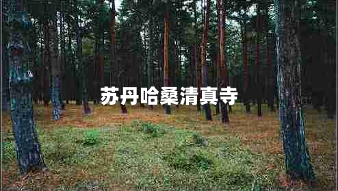 蘇丹哈桑清真寺