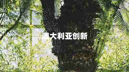 澳大利亞創(chuàng  )新