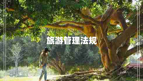 旅游管理法規