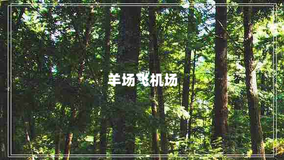 羊場(chǎng)飛機場(chǎng)