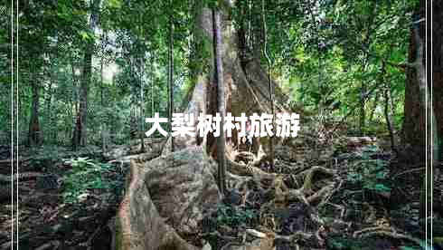 大梨樹(shù)村旅游