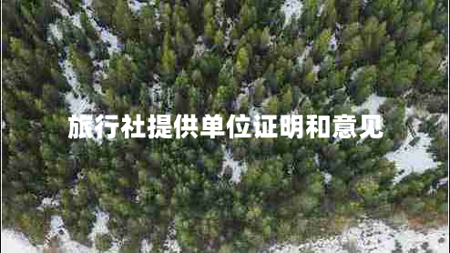 旅行社提供單位證明和意見(jiàn)