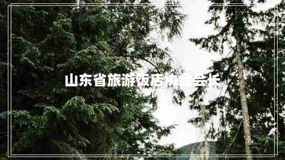 山東省旅游飯店協(xié)會(huì )會(huì )長(cháng)