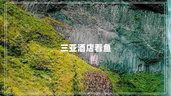 三亞酒店看魚(yú)
