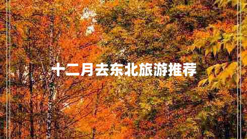 十二月去東北旅游推薦