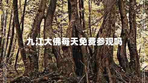九江大佛每天免費參觀(guān)嗎