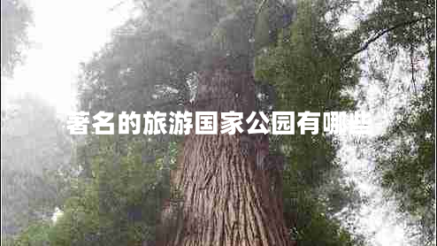 著(zhù)名的旅游國家公園有哪些