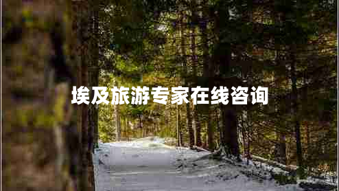 埃及旅游專(zhuān)家在線(xiàn)咨詢(xún)