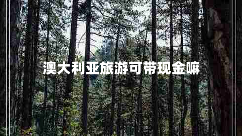 澳大利亞旅游可帶現金嘛