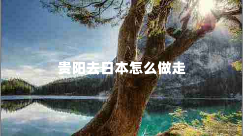 貴陽(yáng)去日本怎么做走