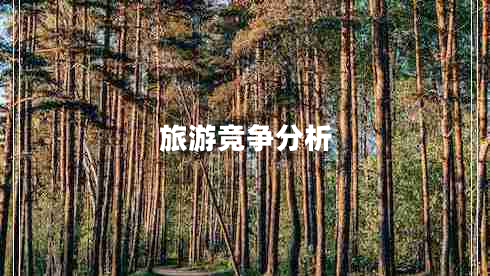 旅游競爭分析