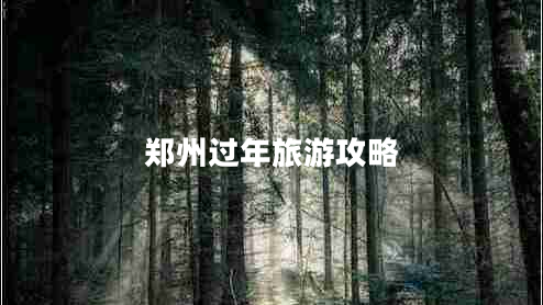 鄭州過(guò)年旅游攻略