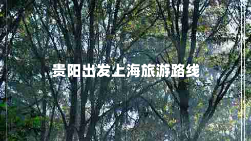 貴陽(yáng)出發(fā)上海旅游路線(xiàn)