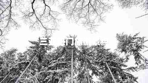 三亞熱門(mén)旅游景點(diǎn)