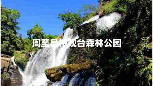 周至縣樓觀(guān)臺森林公園