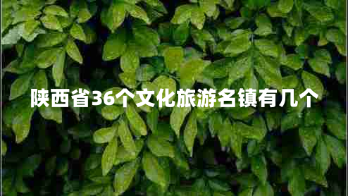 陜西省36個(gè)文化旅游名鎮有幾個(gè)