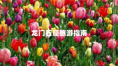 龍門(mén)石窟旅游指南