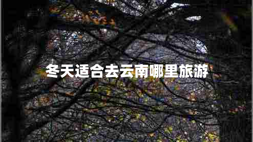 冬天適合去云南哪里旅游