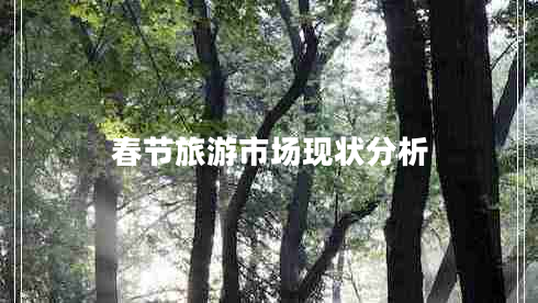 春節旅游市場(chǎng)現狀分析