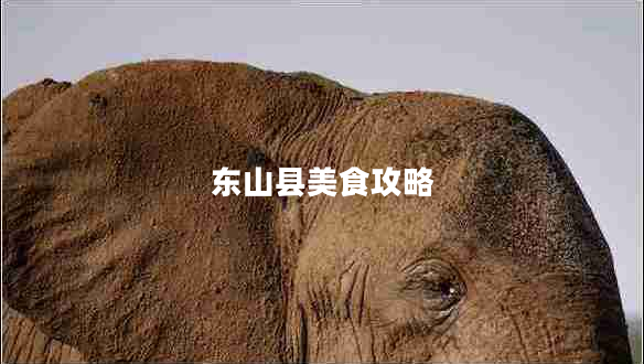 東山縣美食攻略