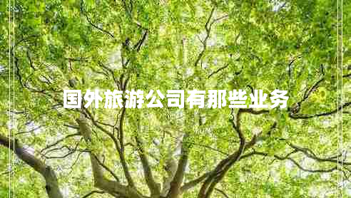 國外旅游公司有那些業(yè)務(wù)
