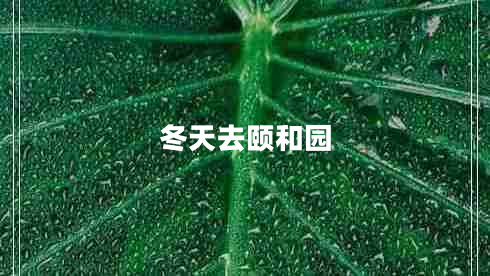 冬天去頤和園