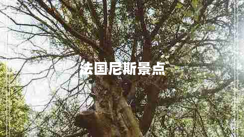 法國尼斯景點(diǎn)