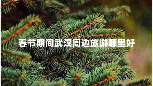 春節期間武漢周邊旅游哪里好