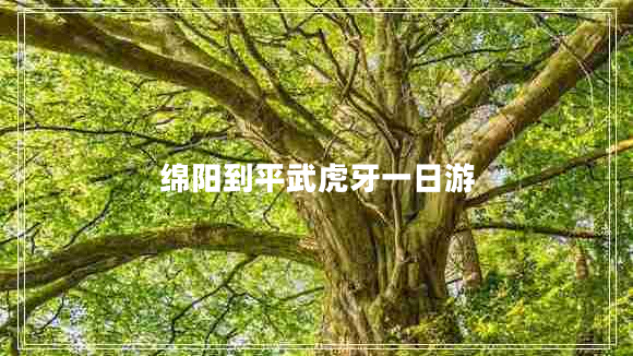 綿陽(yáng)到平武虎牙一日游