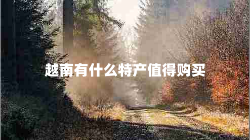 越南有什么特產(chǎn)值得購買(mǎi)