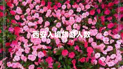 西安入境旅游人數
