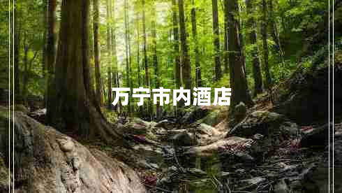 萬(wàn)寧市內酒店