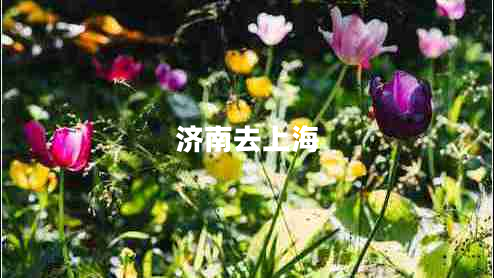 濟南去上海